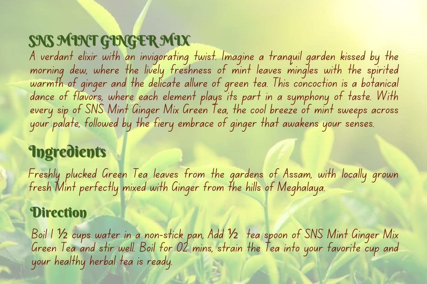 SNS Mint Ginger Mix - Image 2