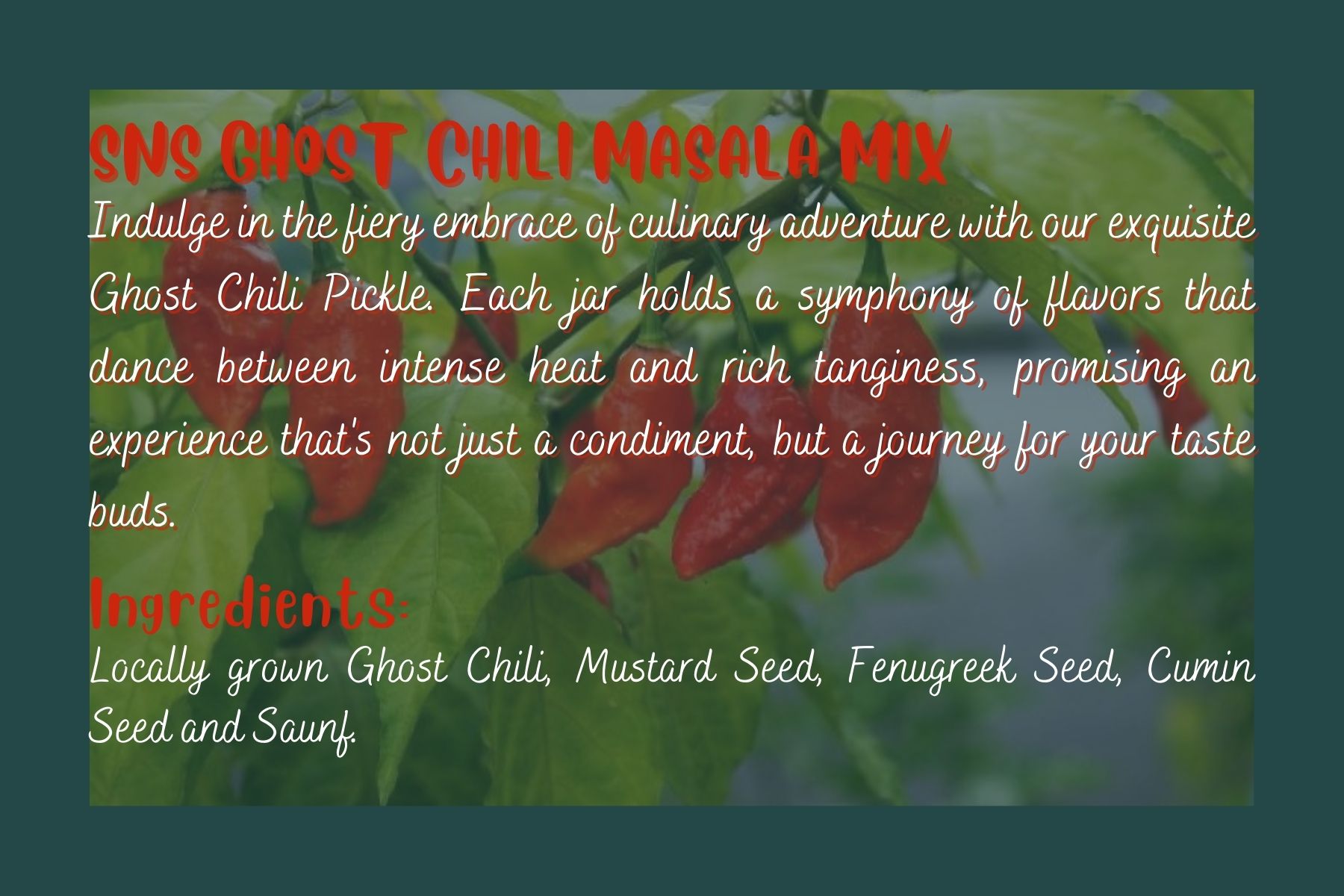SNS Ghost Chili - Image 2