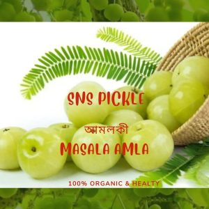 SNS Masala Amla