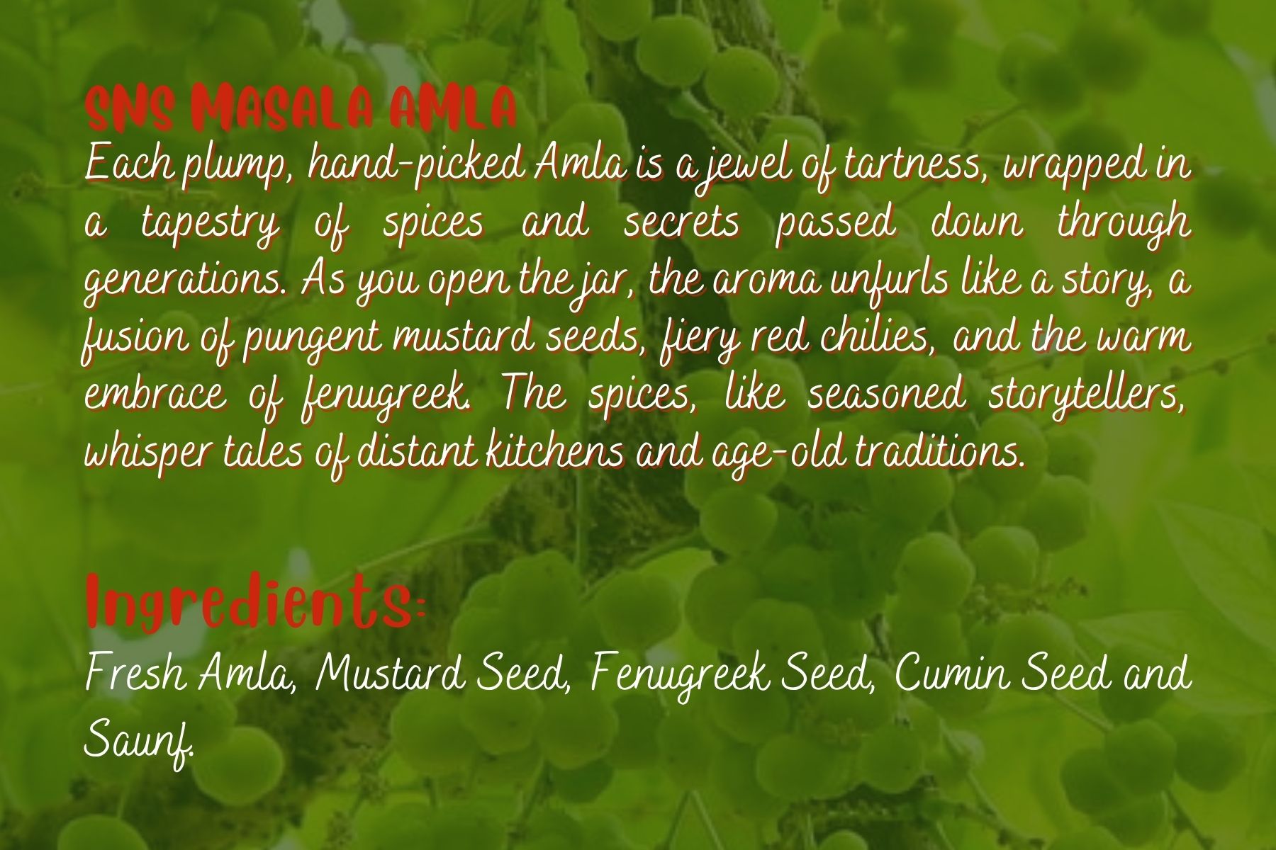 SNS Masala Amla - Image 2