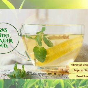 SNS Mint Ginger Mix